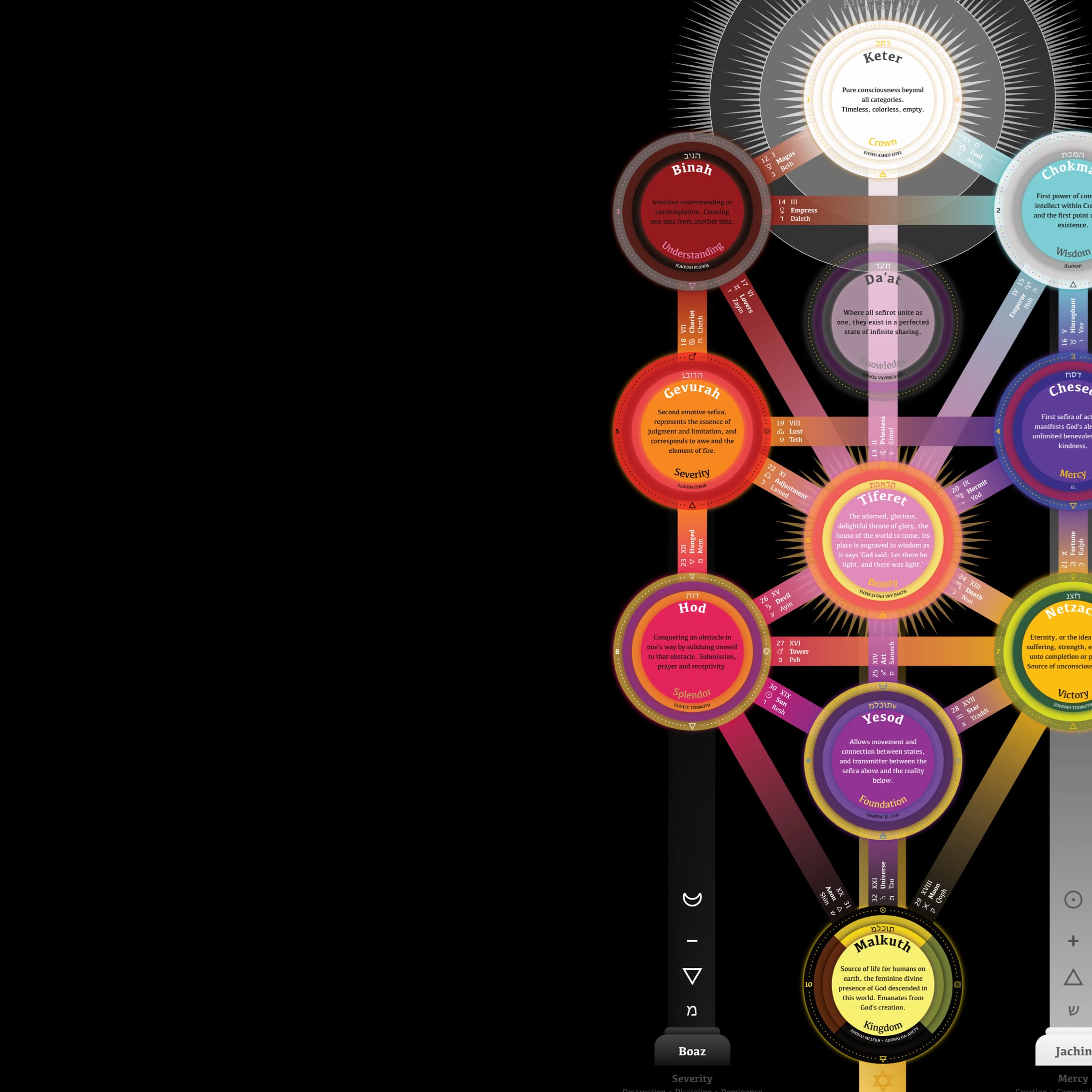 Tree of Life — product image